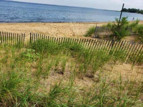 Keyport Living Shoreline 